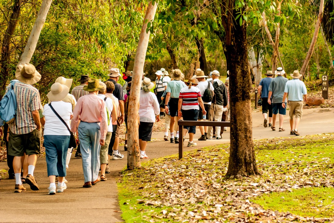 Group of healthy elderly people walking down a trail surrounded by trees